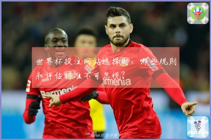 世界杯投注网站选择时，哪些规则和评估标准不可忽视？