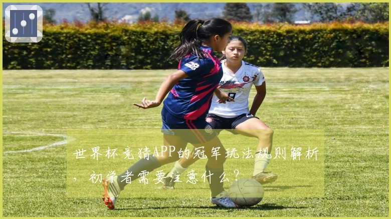世界杯竞猜APP的冠军玩法规则解析，初学者需要注意什么？