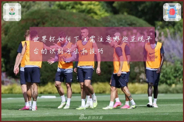 世界杯如何下注需注意哪些正规平台的识别方法和技巧