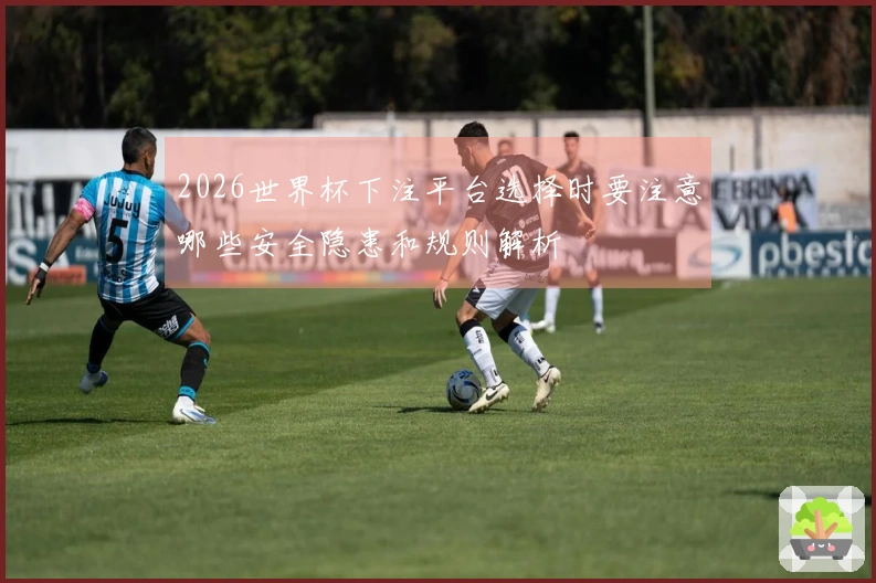 2026世界杯下注平台选择时要注意哪些安全隐患和规则解析