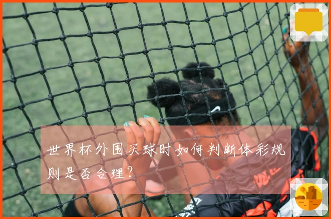 世界杯外围买球时如何判断体彩规则是否合理？