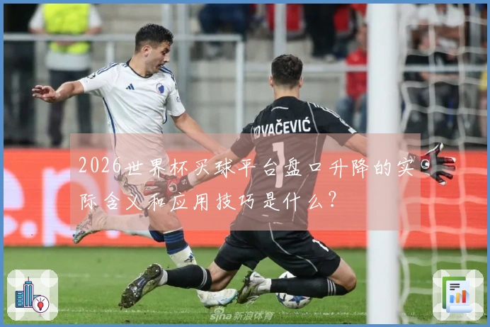 2026世界杯买球平台盘口升降的实际含义和应用技巧是什么？