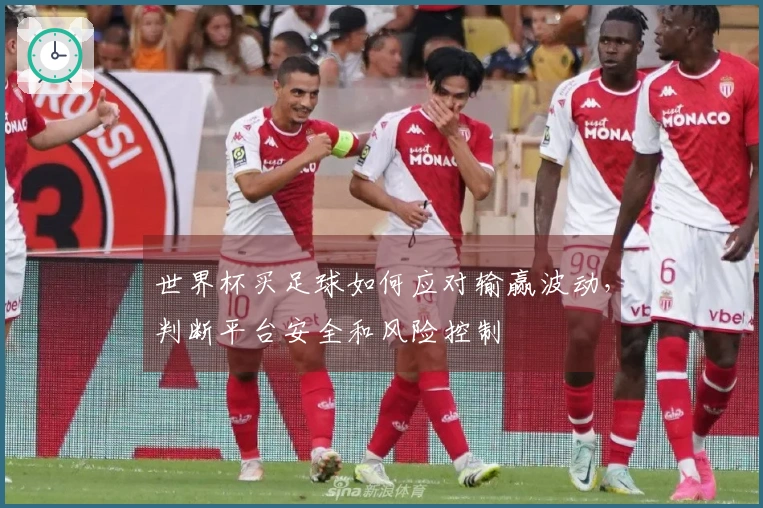 世界杯买足球如何应对输赢波动,判断平台安全和风险控制