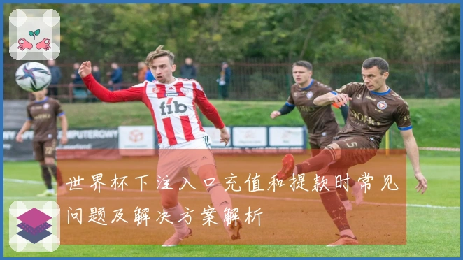世界杯下注入口充值和提款时常见问题及解决方案解析