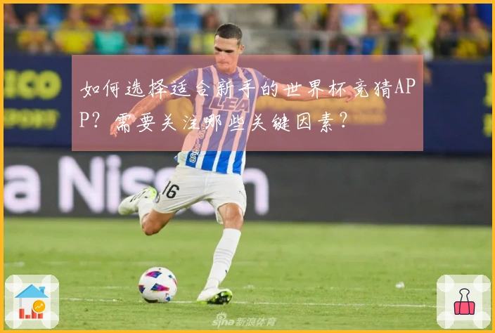 如何选择适合新手的世界杯竞猜APP？需要关注哪些关键因素？