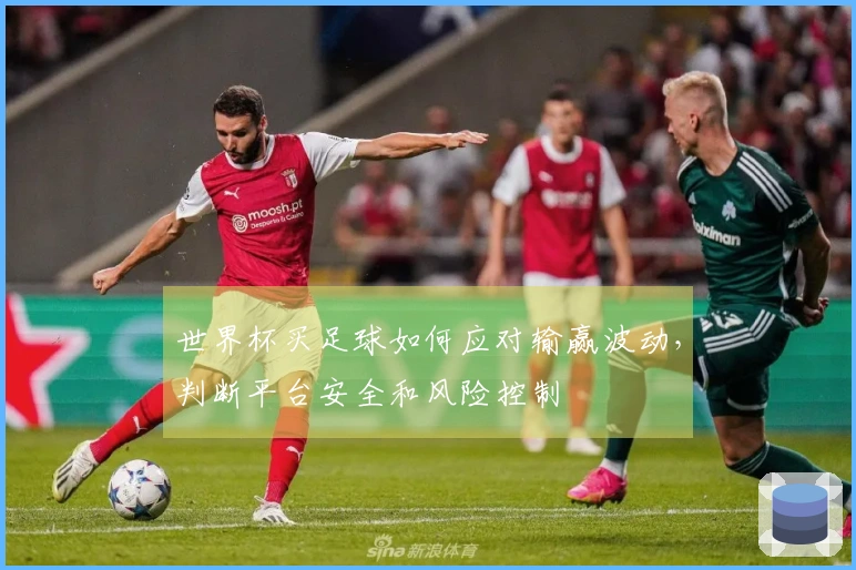 世界杯买足球如何应对输赢波动，判断平台安全和风险控制
