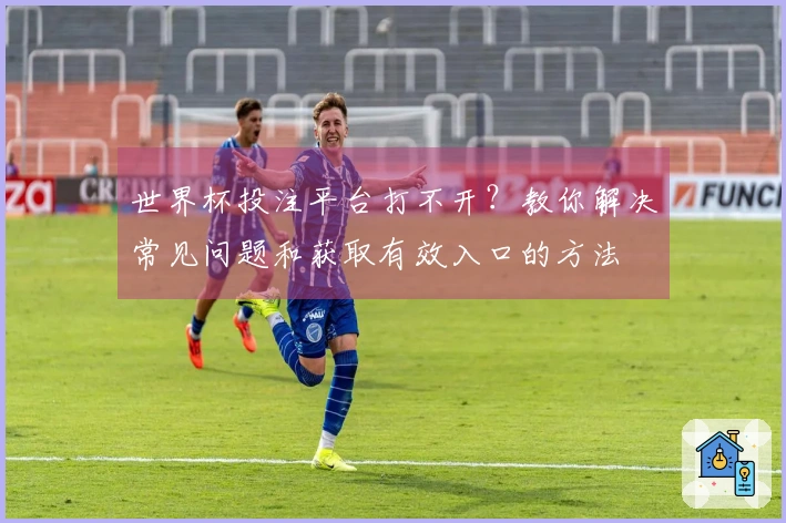 世界杯投注平台打不开？教你解决常见问题和获取有效入口的方法