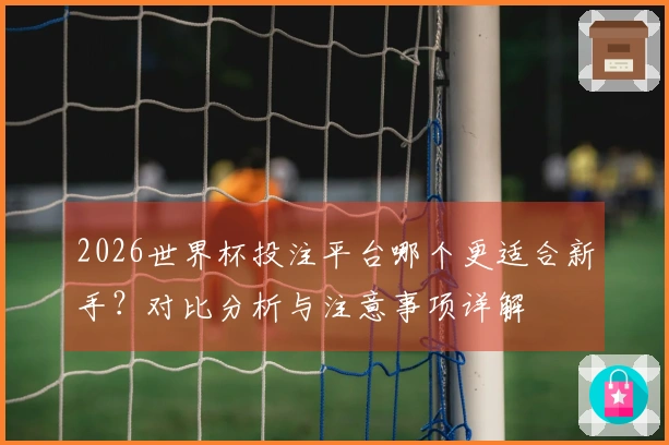 2026世界杯投注平台哪个更适合新手？对比分析与注意事项详解