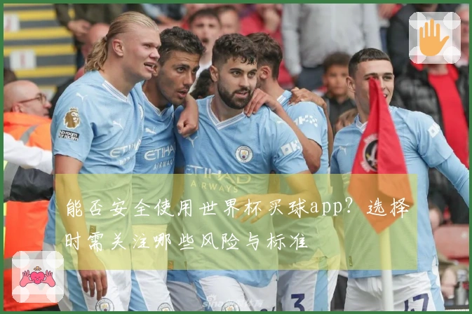 能否安全使用世界杯买球app？选择时需关注哪些风险与标准