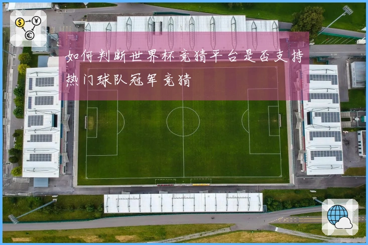 如何判断世界杯竞猜平台是否支持热门球队冠军竞猜