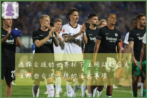 选择合适的世界杯下注网站时应关注哪些合法合规的注意事项