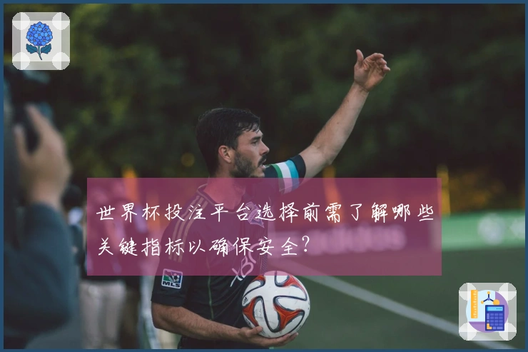 世界杯投注平台选择前需了解哪些关键指标以确保安全？