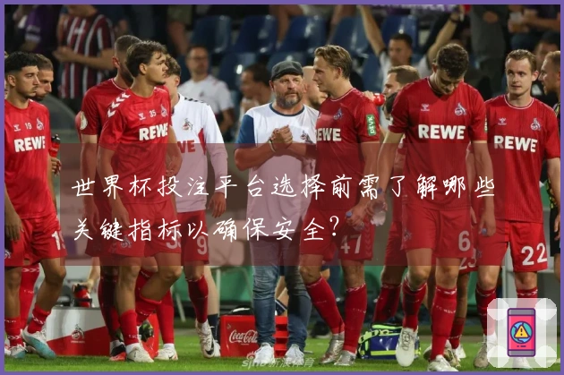 世界杯投注平台选择前需了解哪些关键指标以确保安全？