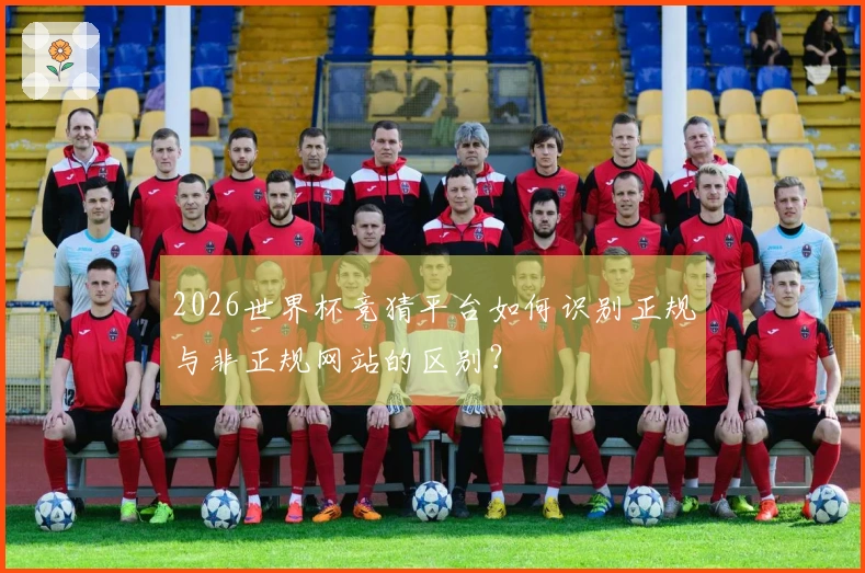 2026世界杯竞猜平台如何识别正规与非正规网站的区别？