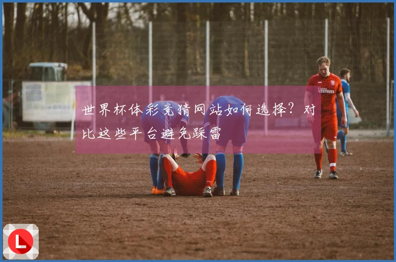 世界杯体彩竞猜网站如何选择？对比这些平台避免踩雷