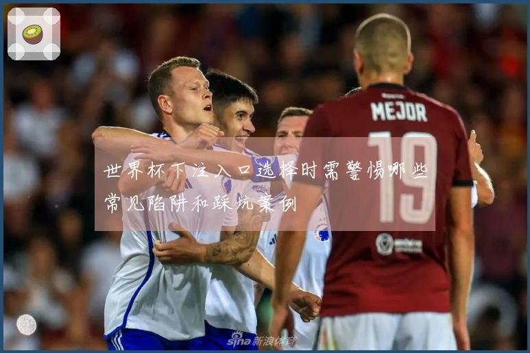 世界杯下注入口选择时需警惕哪些常见陷阱和踩坑案例