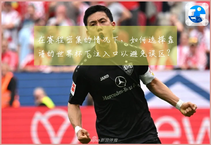 在赛程密集的情况下，如何选择靠谱的世界杯下注入口以避免误区？