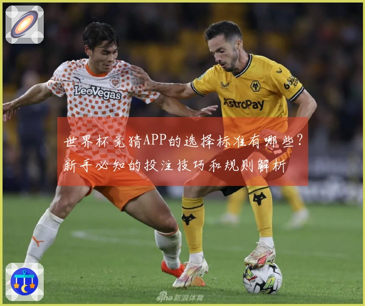 世界杯竞猜APP的选择标准有哪些？新手必知的投注技巧和规则解析