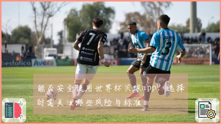 能否安全使用世界杯买球app？选择时需关注哪些风险与标准