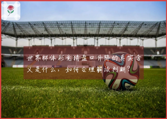世界杯体彩竞猜盘口升降的真实含义是什么，如何合理解读判断？