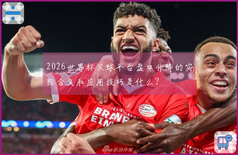 2026世界杯买球平台盘口升降的实际含义和应用技巧是什么？