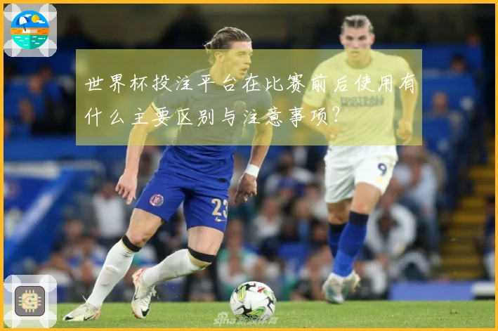 世界杯投注平台在比赛前后使用有什么主要区别与注意事项？