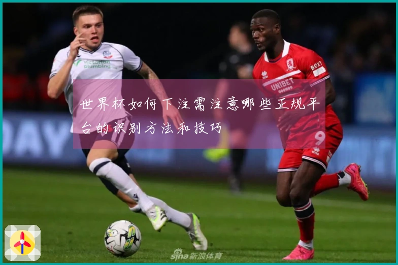 世界杯如何下注需注意哪些正规平台的识别方法和技巧
