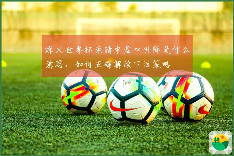 烽火世界杯竞猜中盘口升降是什么意思，如何正确解读下注策略