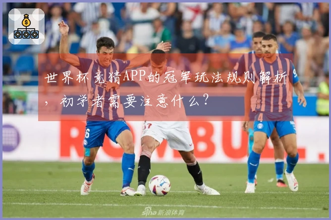 世界杯竞猜APP的冠军玩法规则解析，初学者需要注意什么？