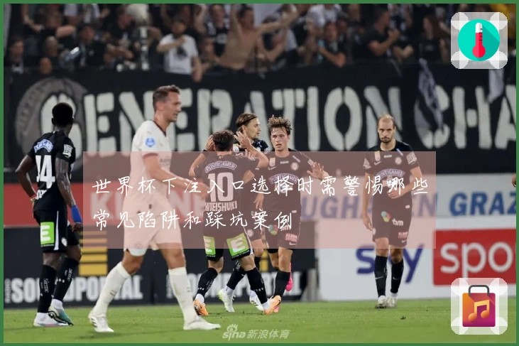世界杯下注入口选择时需警惕哪些常见陷阱和踩坑案例