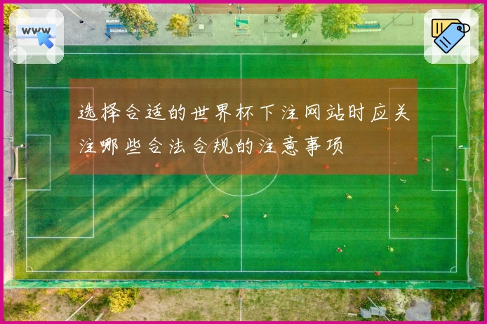 选择合适的世界杯下注网站时应关注哪些合法合规的注意事项