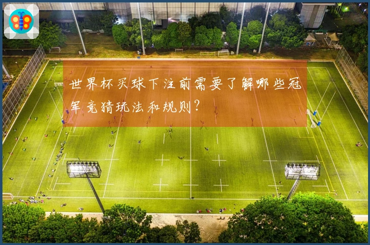 世界杯买球下注前需要了解哪些冠军竞猜玩法和规则？