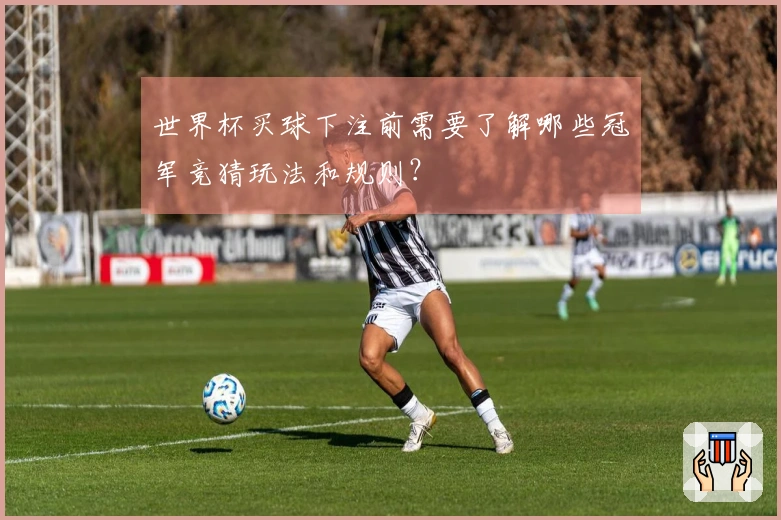 世界杯买球下注前需要了解哪些冠军竞猜玩法和规则？