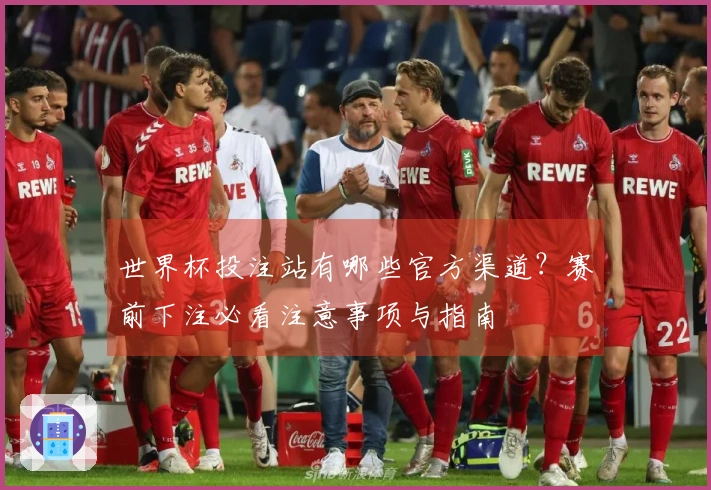 世界杯投注站有哪些官方渠道？赛前下注必看注意事项与指南