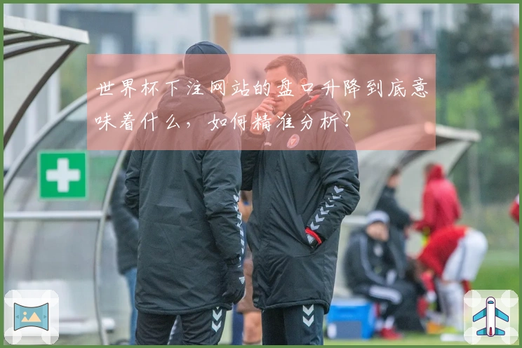 世界杯下注网站的盘口升降到底意味着什么，如何精准分析？