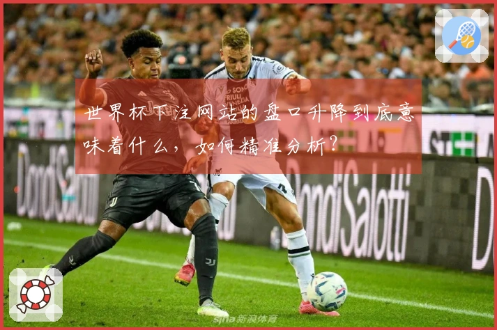 世界杯下注网站的盘口升降到底意味着什么，如何精准分析？