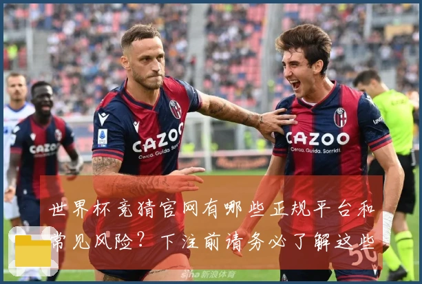 世界杯竞猜官网有哪些正规平台和常见风险？下注前请务必了解这些事项